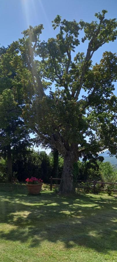 Hotel Poggio Al Sole 4*