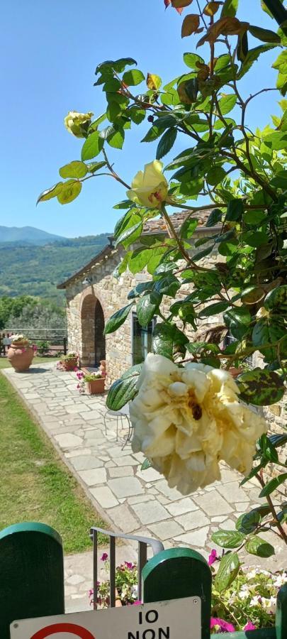 Poggio Al Sole Hotel